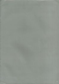 The Will For Safety15.jpg